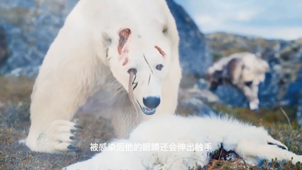 2022年最新丧尸大片,北极熊丧尸震撼来袭_高清1080P在线观看平台_腾讯视频