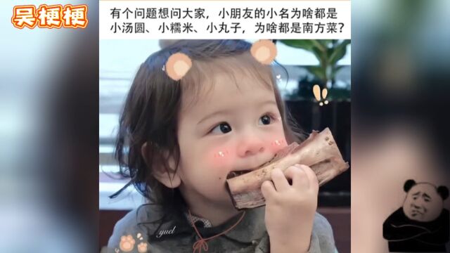 为什么名字都是南方菜?