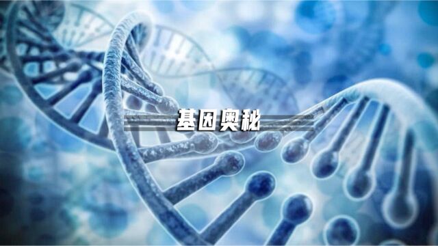 人体98%都是垃圾DNA?但它关键时候能救命……