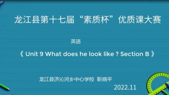 初中英语《Unit 9What does he look like ? Section B 》靳晓平