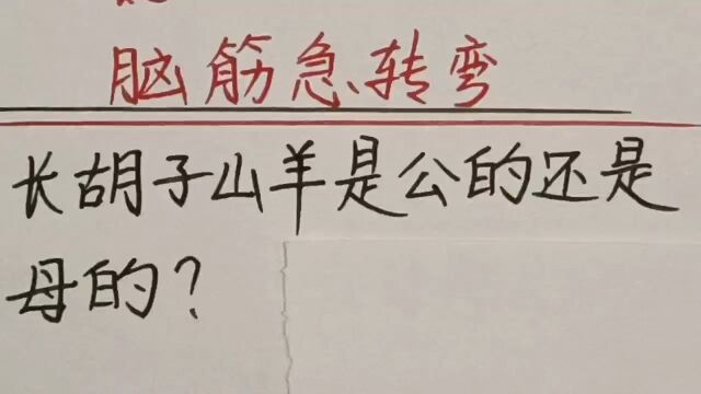 脑筋急转弯,长胡子山羊是公的还是母的