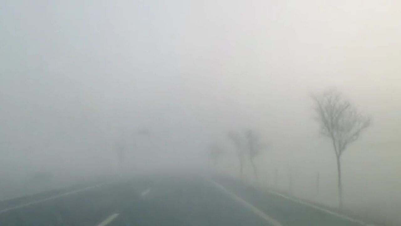 冬季雨雾天气增多,行车请“雾”必小心!|交通安全提示_高清1080P在线观看平台_腾讯视频