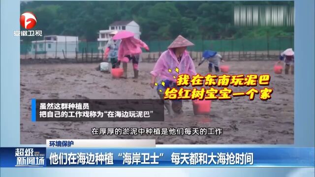 福建:他们在海边种植“海岸卫士”,每天都和大海抢时间