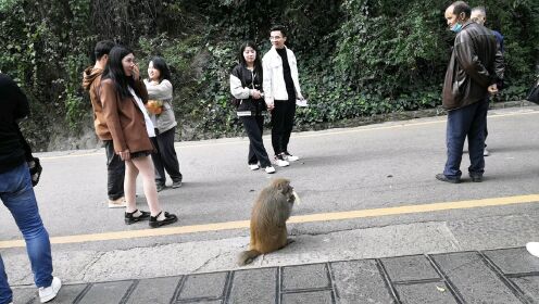 在贵阳必打卡的地方，肯定是黔灵山公园啦，可以看齐天大圣美猴王，喂猴，逗猴，太好玩了。
