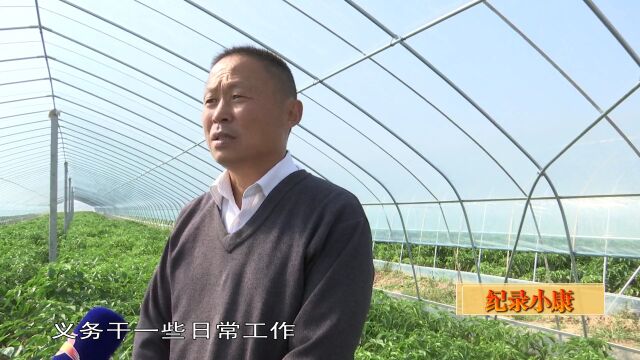 【纪录小康】黄口镇徐洼村:党员干部领头干 农民致富干劲足