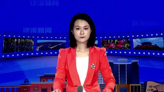 广东省交通运输厅督导组到遂溪县调研督导