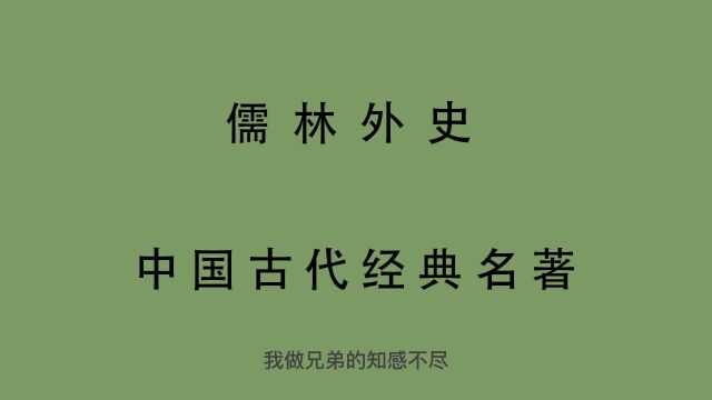 有声书 全文朗读 儒林外史21