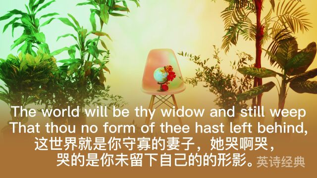 莎士比亚《十四行诗》第9首 Sonnet 9 by William Shakespeare