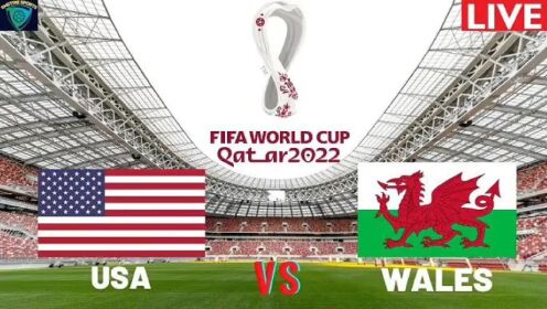 美国vs威尔士 2022卡塔尔世界杯小组赛B组第1轮 精彩足球视频回放