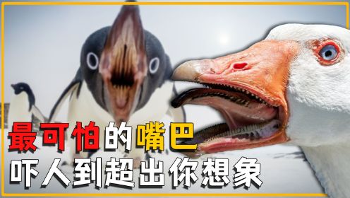 世界上嘴巴最可怕的8大动物：不掰开这张嘴，你都不知道有多吓人