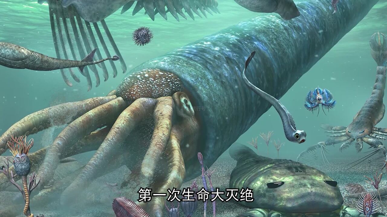 地球史上的六次生物大灭绝事件,到底有多恐怖?_高清1080P在线观看平台_腾讯视频
