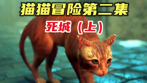 猫猫冒险：猫咪冒险之旅第一天“死城”，偶遇不明危险物种