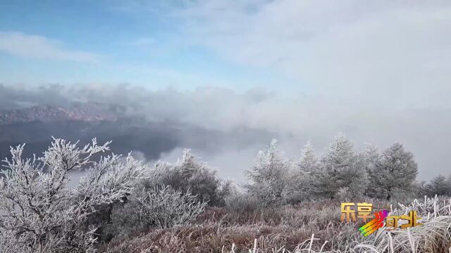 美丽河北|承德兴隆雾灵山:万树“花开”美如画