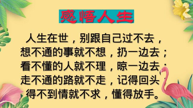 人生在世别跟自己过不去