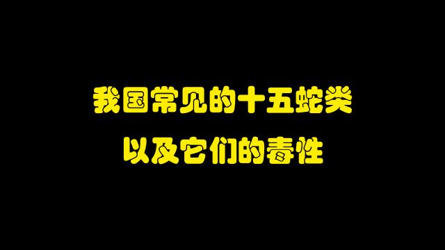 涨知识了!盘点我国常见的十五种蛇类,以及它们的毒液毒性