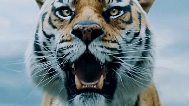 一人一虎的故事