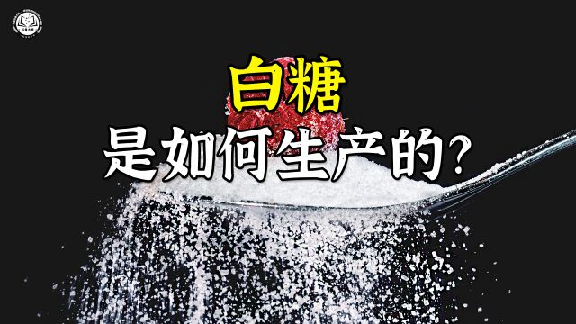 白糖是如何生产的?先将甜菜切成条状,再打进20米高的萃取塔中