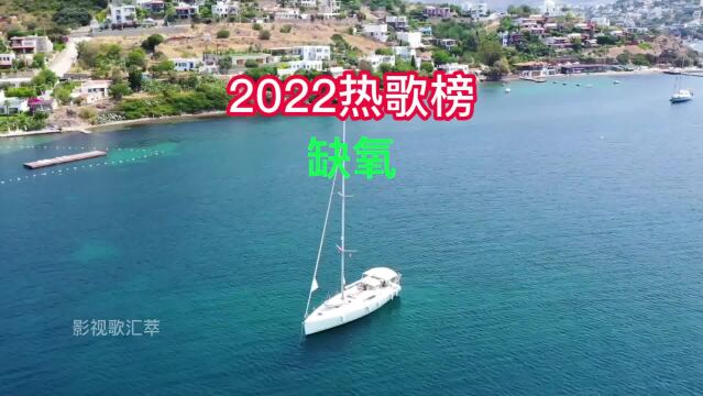 2022年热门歌曲《缺氧》,值得收藏的耐听循环歌单