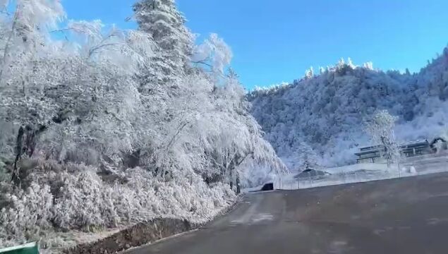 宛如仙境!喇叭河的雾凇与云海,一定要亲眼看看!