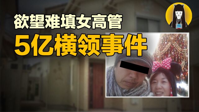 【奇案】LV堆满屋4个小情人,下属皆暧昧,欲望难填女高管5亿横领事件|汤圆说案