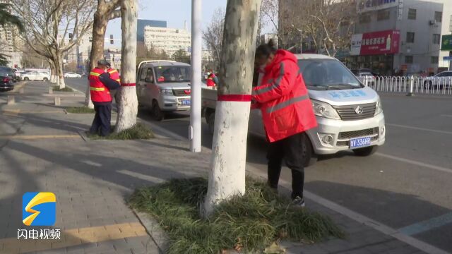 潍坊市奎文区:开启园林绿化“防冻”模式 确保植物安全越冬