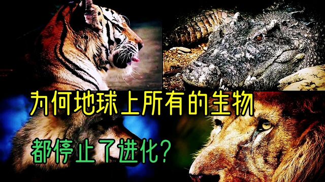 为何地球上所有的生物都停止了进化?