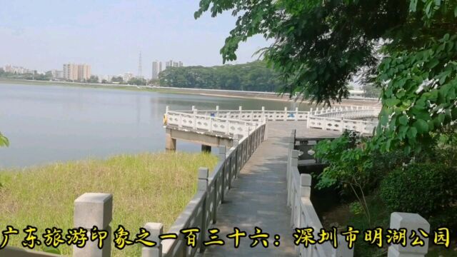 广东旅游印象之一百三十六:深圳市明湖公园