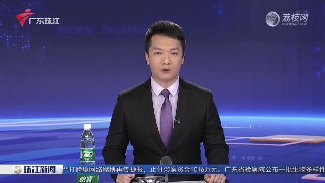 1300种云南蝴蝶折射生物多样性保护成果