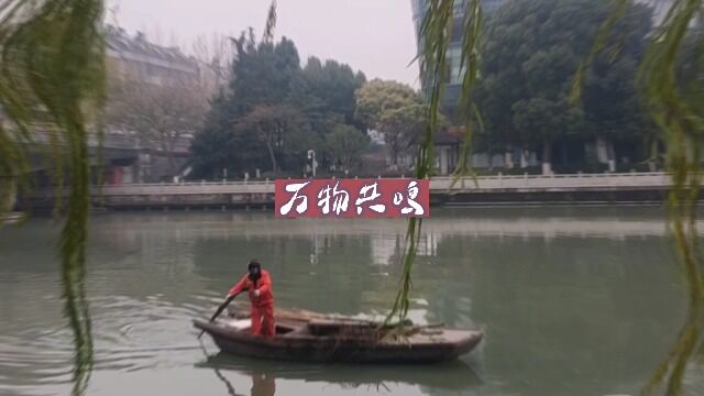 万物共鸣!生活随拍!