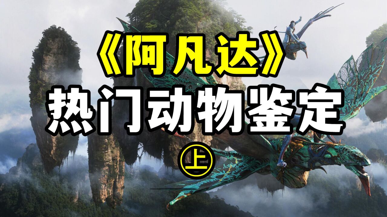 盘点电影《阿凡达》中的7种"热门"动物!(上)|【潘多拉星球04】