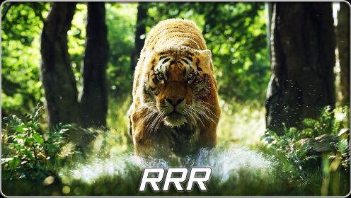 Affan Rrr 《RRR》全集_高清1080P在线观看平台_腾讯视频