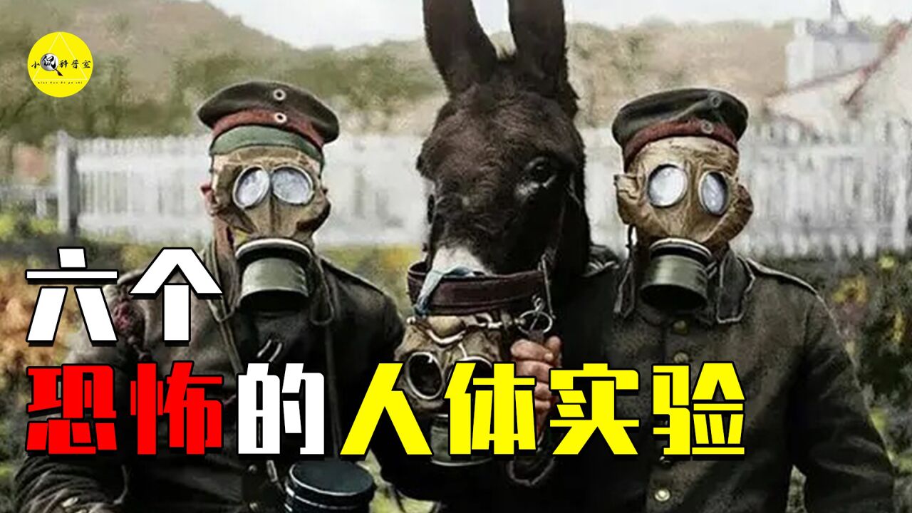 盘点最恐怖的六大人体实验,日本731研制生化武器,中国伤亡惨重