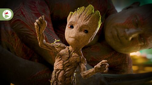 谁能拒绝一只爱泡温泉爱跳舞的小格鲁特呢?