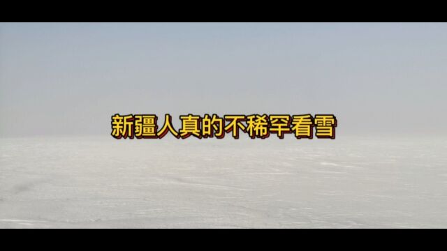 闲着也是闲着,出来转转吧.其实真的不稀罕看雪就是闲的!