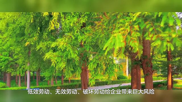 66企业篇商品价值劳动效率风险【张延年博主】