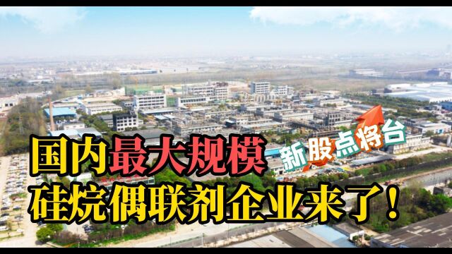 e公司#新股 点将台:国内最大规模硅烷偶联剂企业来了!#打新 #股市