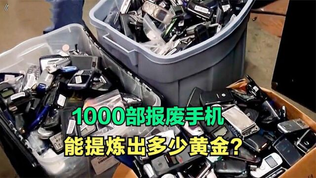 老外回收1000部破旧手机,竟然炼出了100克黄金,你敢信?