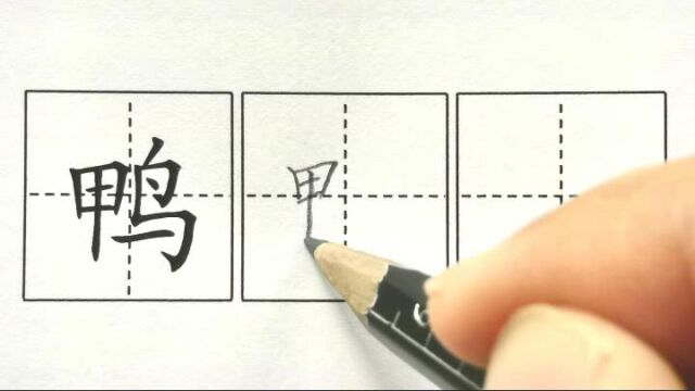 鸭,二下识字4中国美食