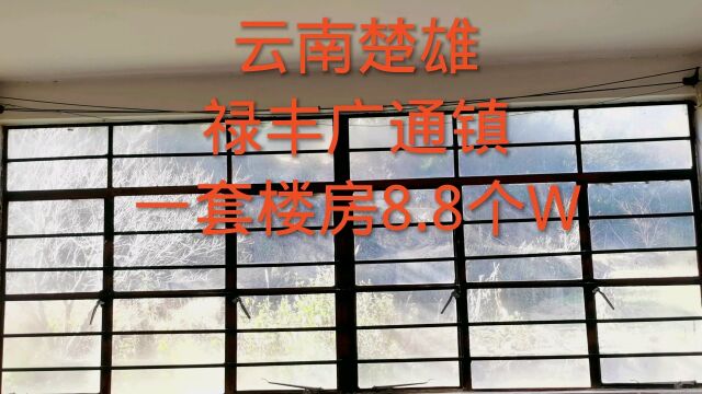 云南楚雄禄丰广通镇一套楼房8.8个W