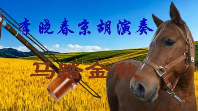 李晓春京胡演奏 京胡独奏曲 马踏金秋 