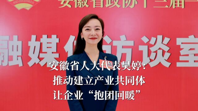 安徽省人大代表吴婷:推动建立产业共同体,让企业“抱团回暖”