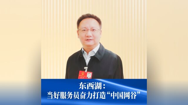 东西湖:当好服务员奋力打造“中国网谷”