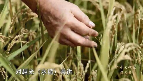 【二十大代表风采录】赵亚夫：为农民服务一辈子