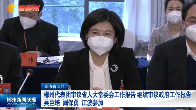 直通省两会:郴州代表团审议省人大常委会工作报告 继续审议政府工作报告 吴巨培 阚保勇 江波参加