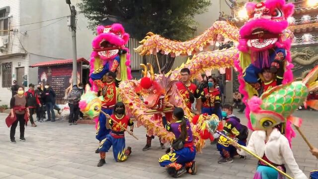 新年舞狮龙灯,预祝新年风调雨顺!国泰民安