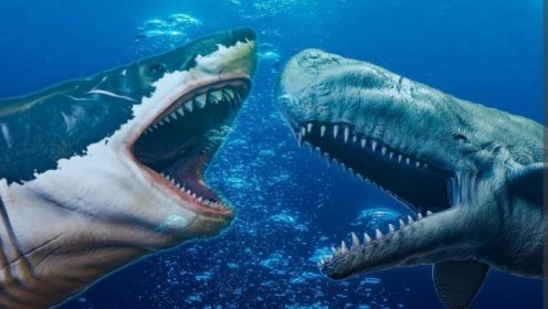 巨齿鲨的最大天敌，梅氏利维坦鲸竟以巨齿鲨为食，谁才是究极霸主？