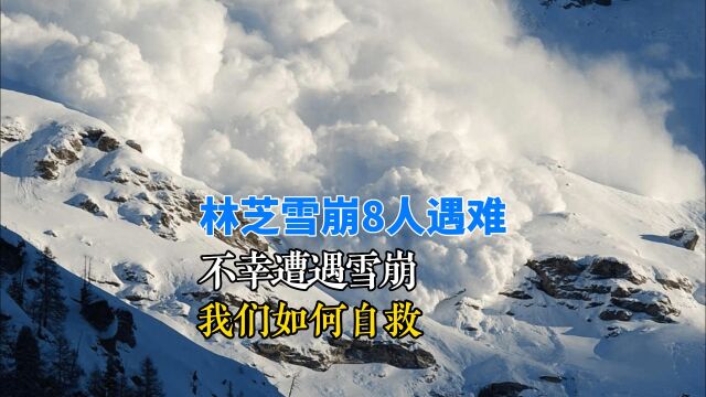 藏区林芝雪崩,已致8人遇难!不幸遭遇雪崩,我们应当如何自救?