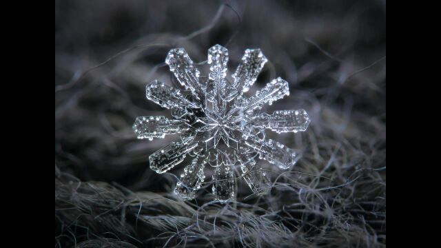 雪花的奥秘《The Science of Snowflakes》