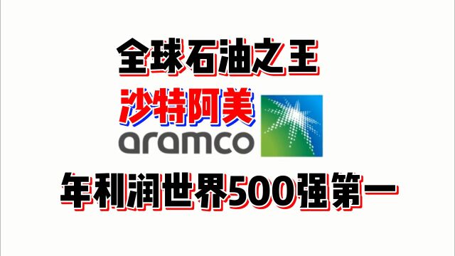 石油之王沙特阿美,年利润世界500强第一,造就全球第一的IPO记录