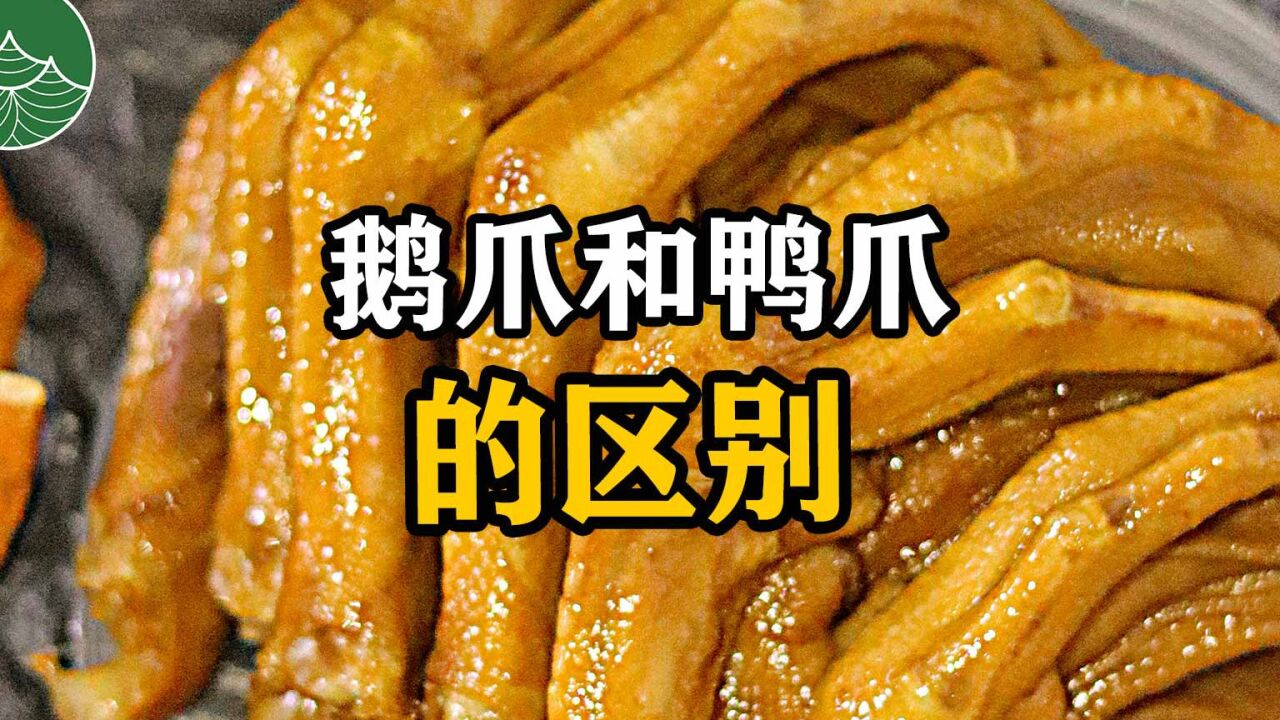 鹅爪和鸭爪的区别